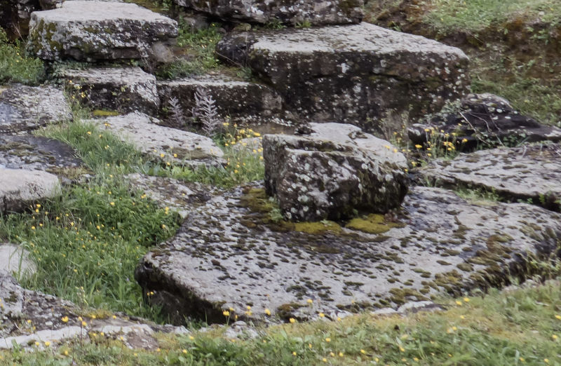 Cortona, città etrusca: protuberanza sulla pietra