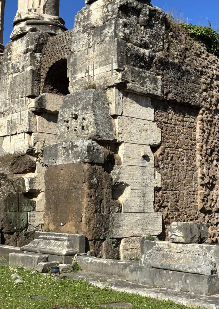 Tempio dei Dioscuri - Foro Romano - Roma (ingrandimento sulla protuberanza visibile sul marmo)