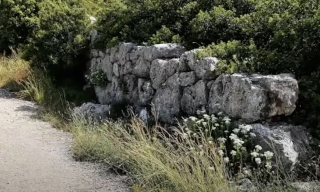 Resti di mura più antiche, sotto le mura di Policrate a Samos